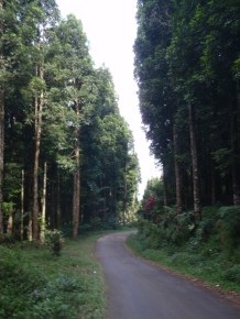 Kota yang lebih layak huni, dambaan semua orang deh. Betul?