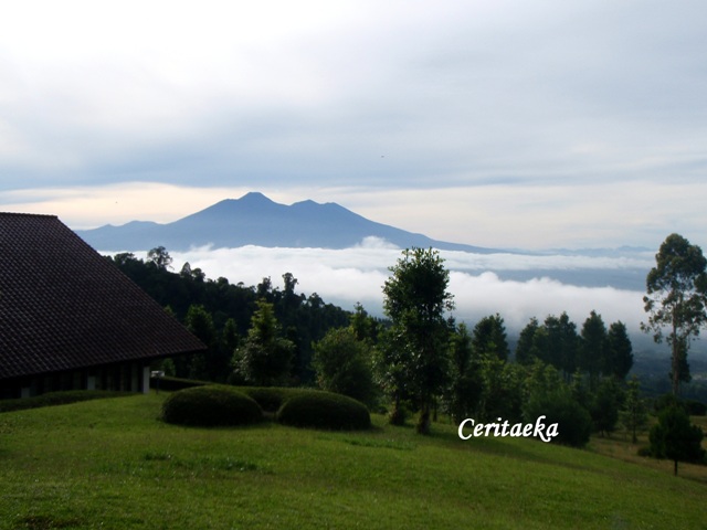 Gunung itu menghadirkan ketenangan yang bikin hati adem