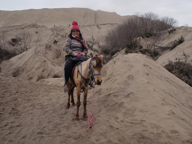 Dengan membayar seratus ribu rupiah akhirnya saya pun menunggang kuda menuju ke Puncak Bromo.