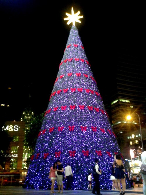 Look how tiny the people are compare to the Christmas tree!