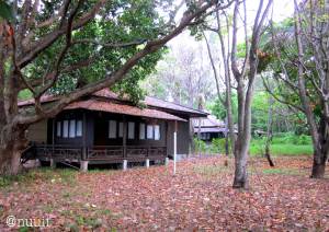 Ini ottage-nya. Biaya +/- 1juta per malam terdiri dari dua kamar.