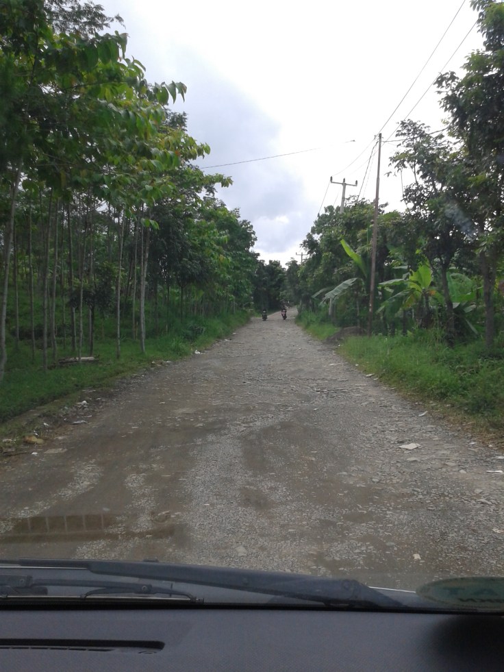 Penampakan jalan menuju Air Terjun Bidadari. Ini masih yang agak bagus sih. Hehehe