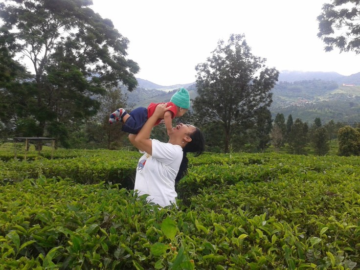 Spending my last day of leaves taking Bastian do a little tracking at the tea plantation. It was so much fun. Bastian giggled the whole time. Yes, my son... Life is an adventure. Embrace it!