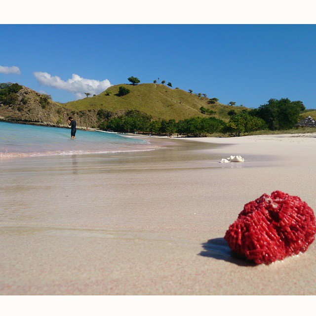 Pink Beach