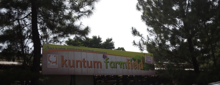 Pintu masuk Kuntum FarmField