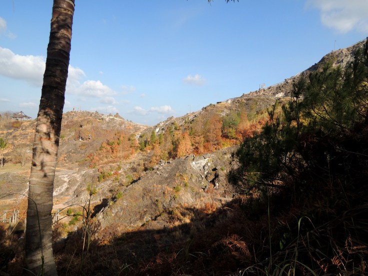 Berasa lagi autumn di negeri mana gituh lihat yang begini