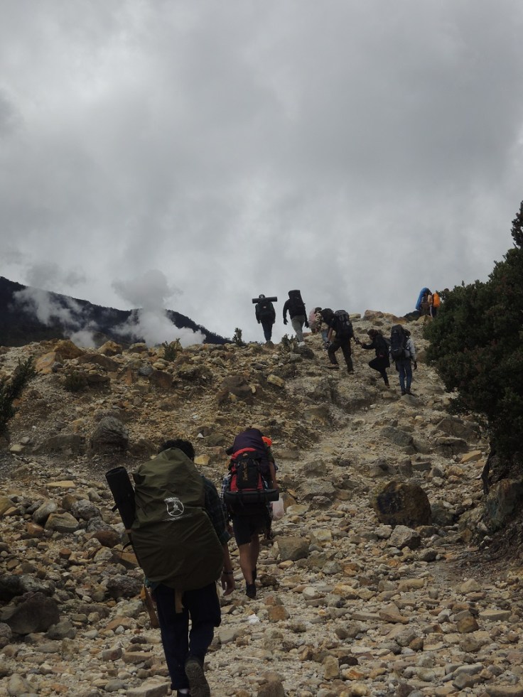 Gunung Papandayan 10