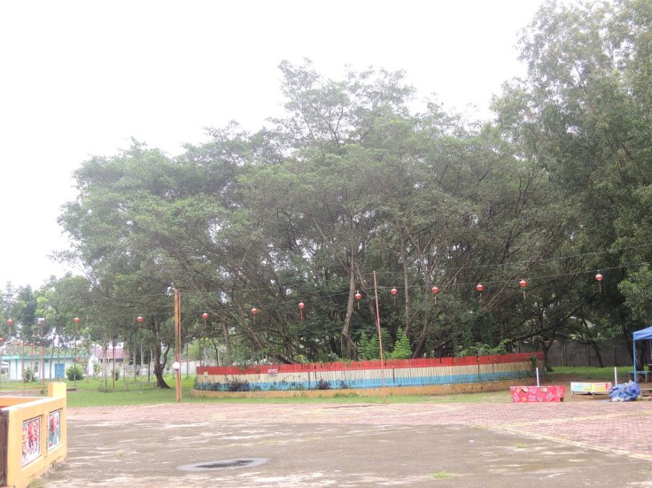 Pohon Cinta Pulau Kamaro