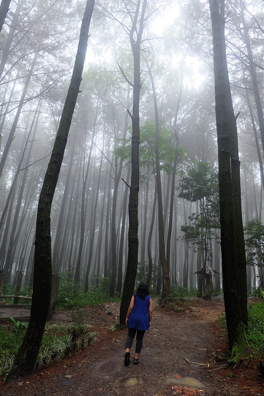 Mencari jejak-jejak penampakan jodoh. Bukan buatku tapi buat temen-temen laiiin :P eh