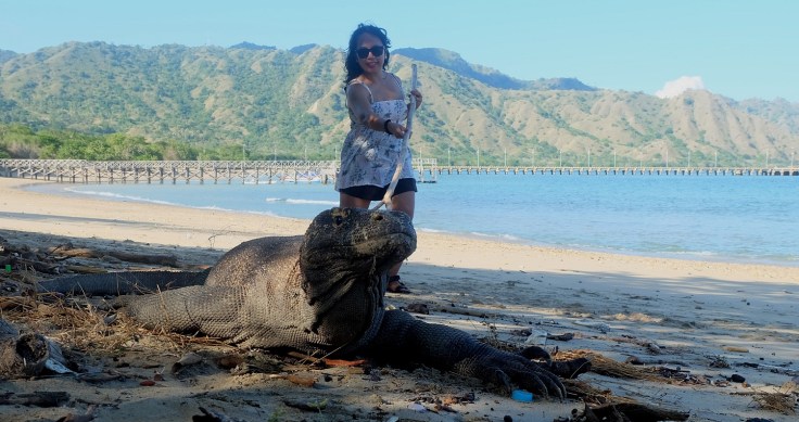 Dapat bonus ketemu komodo gendud lagi di pinggir pantai! Eh, gaya saya udah cocok jadi ranger berpengalaman belom? :mrgreen: