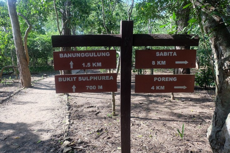 Ho ho ho.. mau lewat mana nih?