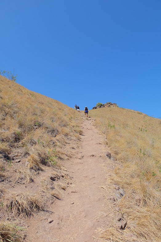 Pulau Padar Island 7