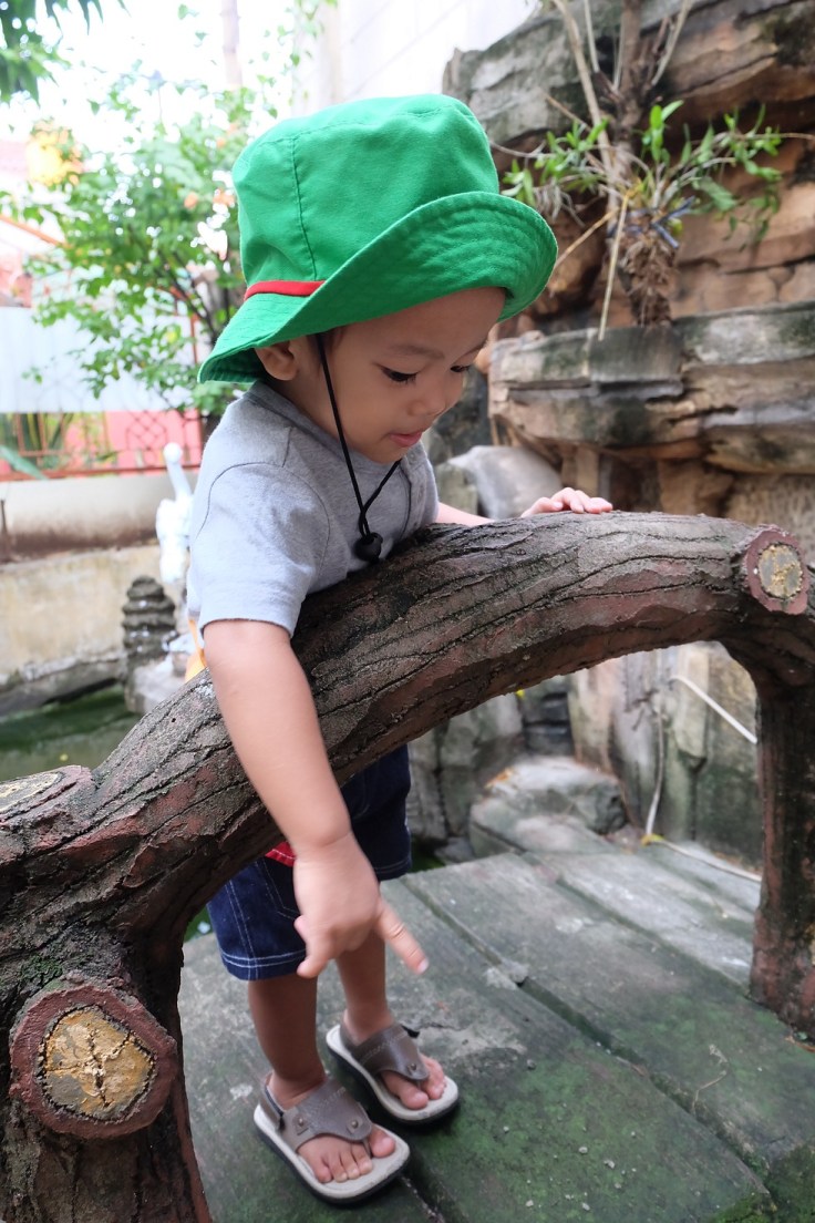 B lagi kasih makan ikan di kolam rumahnya Oppung. Ah, tumbuhlah jadi anak yang peduli pada sesama, lingkungan juga hewan ya, anakku sayang :* Seperti Taro Rangers itu.