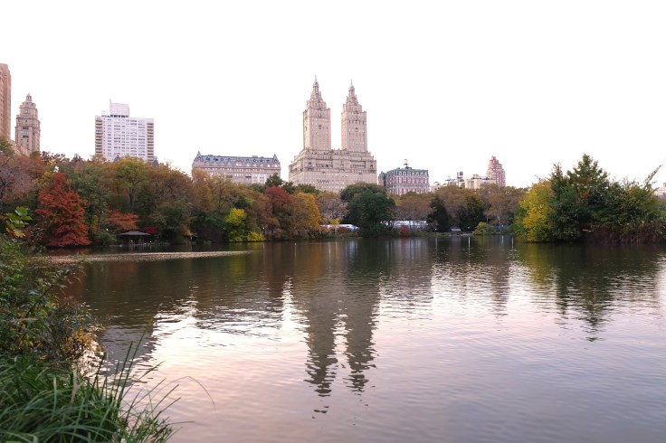 The Lake at Central Park. Banyak apartemen selebritis menghadap ke danau di taman ini. Begitu kata pengemudi becak saya.