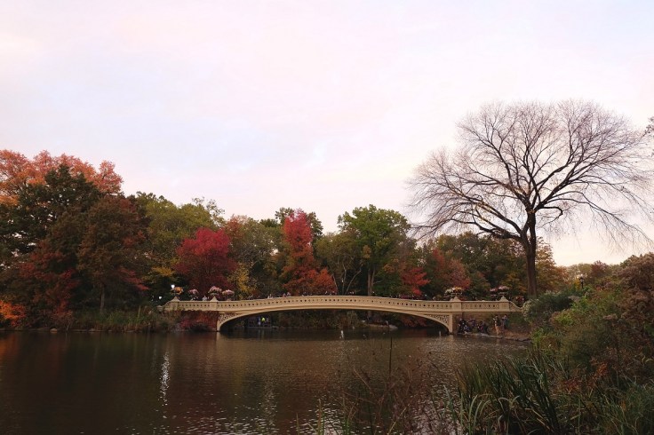 central-park-new-york-8-the-bow-bridge