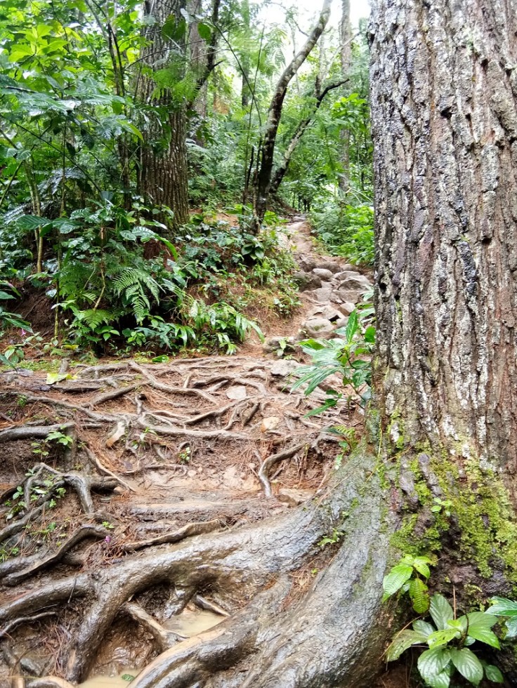 Hasil foto kamera belakang Vivo V5