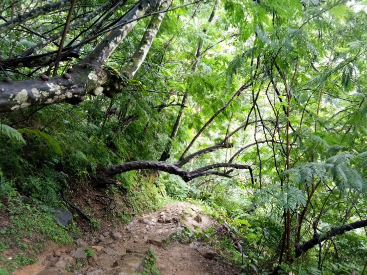 Vivo V5 dengan kamera belakang 13MP, mumpuni dibawa traveling.