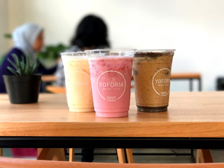 yoforia-yogurt-studio-2